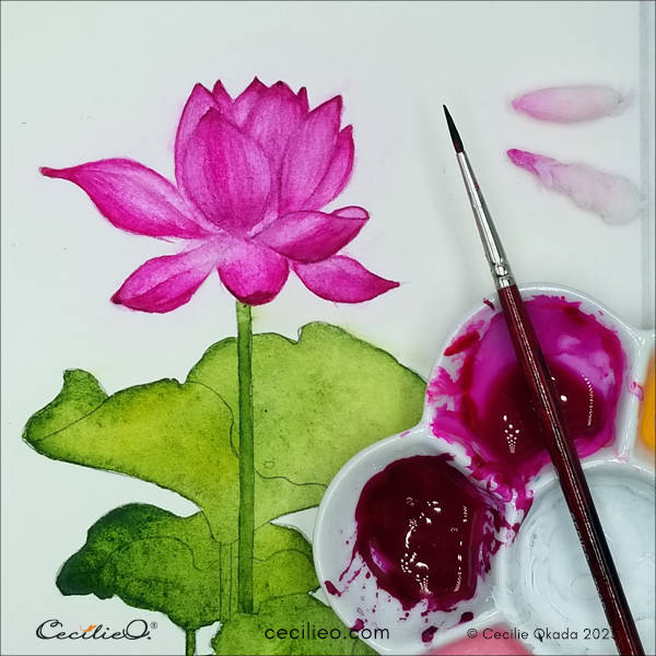 Painting details on the watercolor lotus flower, using wet tissue paper to "draw" white areas. 