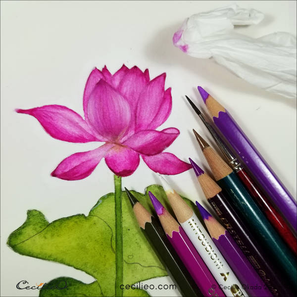 Lotus flower symmetrical drawing by Soppeldunk on DeviantArt-saigonsouth.com.vn