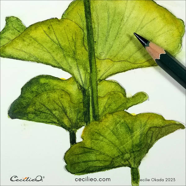 Drawing the veins on the leaves with a watercolor pencil.