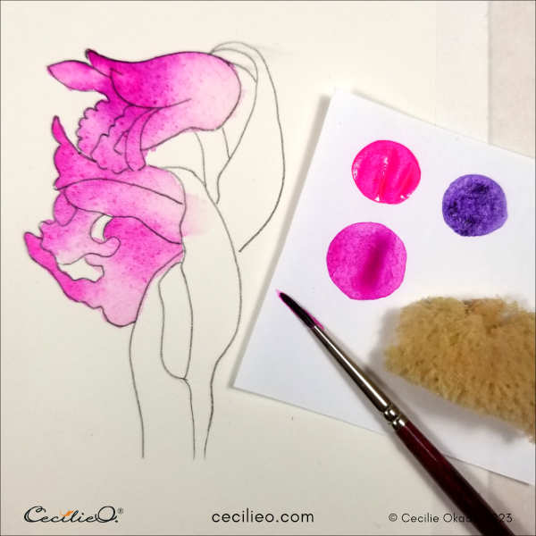 Painting the pink petals with watercolor.