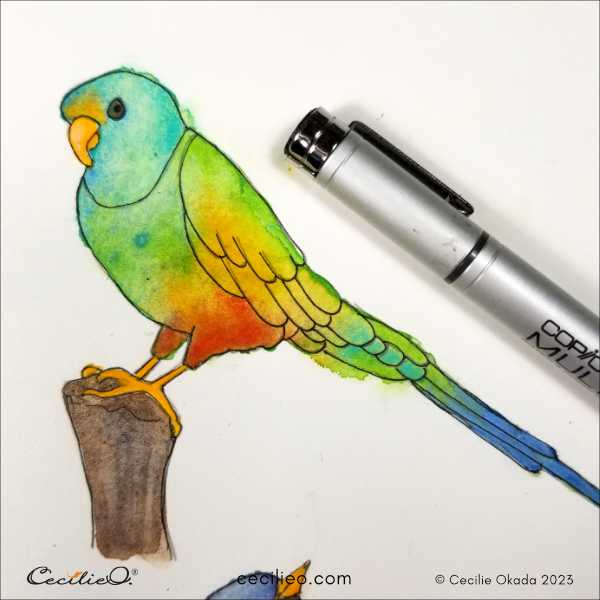 LOVE BIRD DRAWING ❤ How to draw two parrots in love (Love Bird- Parrot D...  | Bird drawings, Love birds drawing, Bird pencil drawing