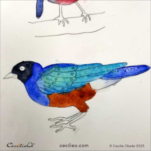 Loose watercolor for the pretty tanager bird.