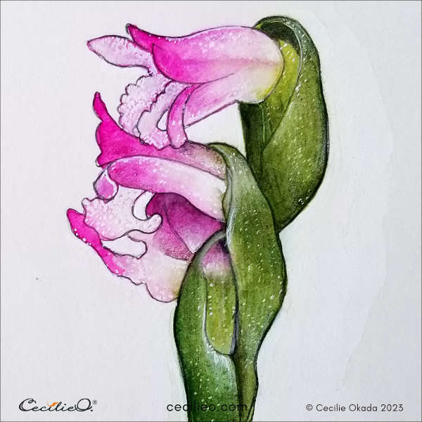 The completed watercolor of the glass orchid.