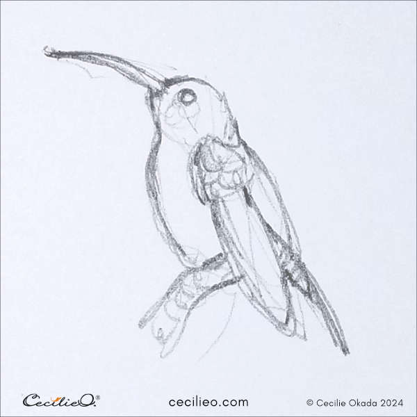 Rapid bird sketch # 1