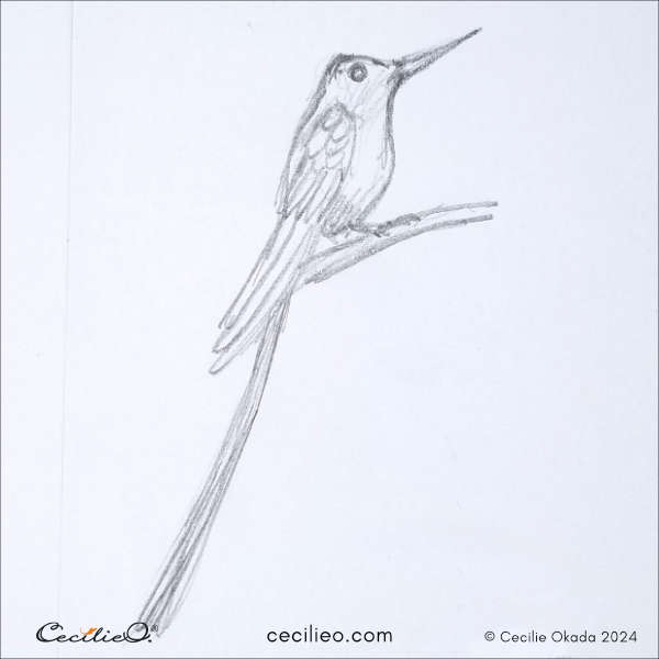 Rapid bird sketch # 3