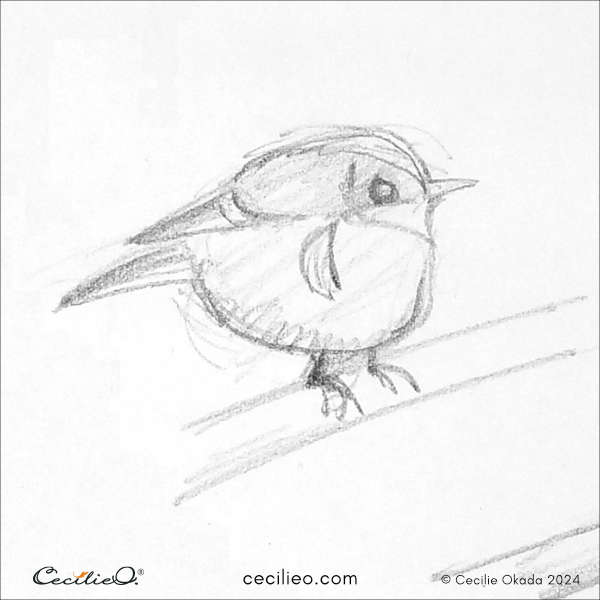 Rapid bird sketch # 2