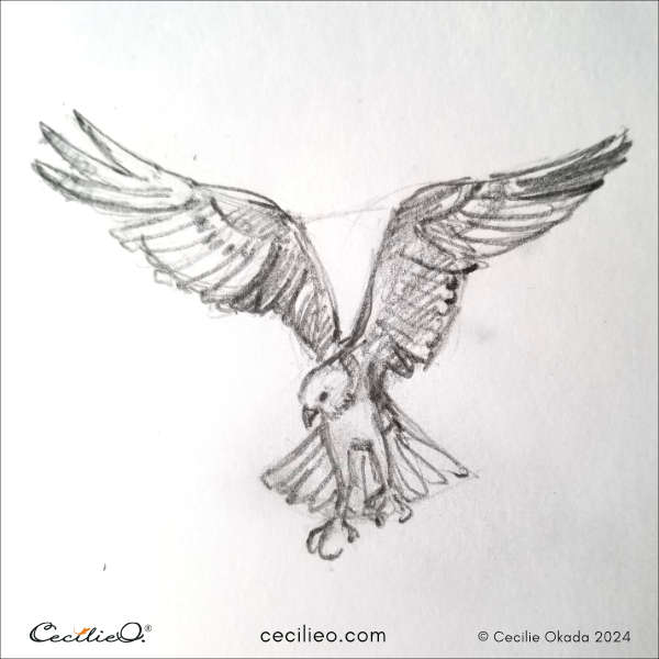 Finished sketch of the Osprey bird.