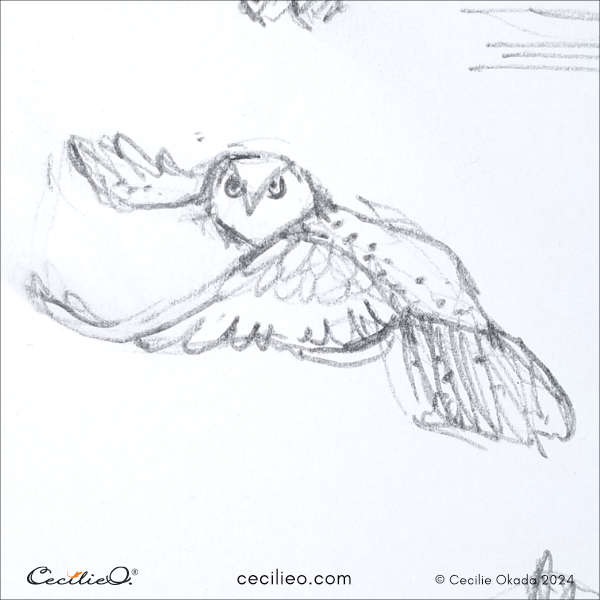 A quick, small sketch of a barn owl in flight.
