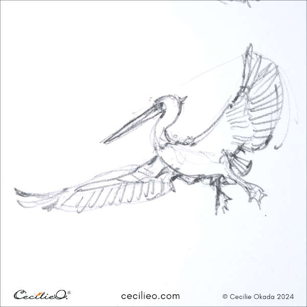 Fast, small drawing of a Heron bird in flight.