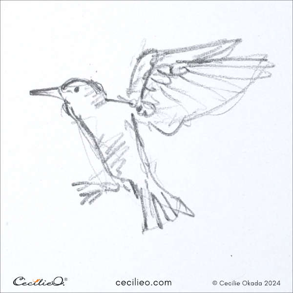 Very fast drawing of a hummingbird.