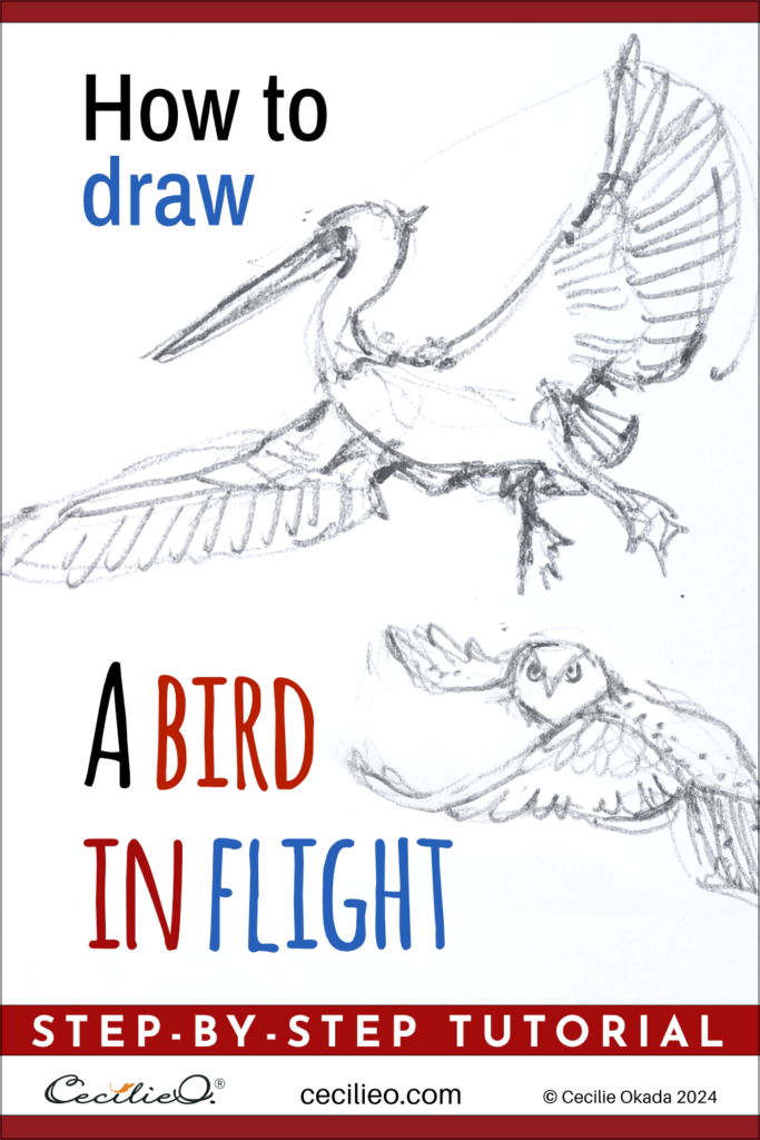 How to draw a bird in flight