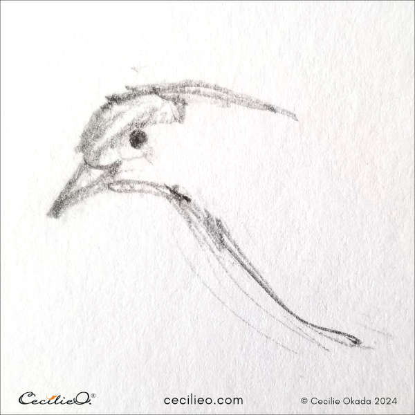 Step 1 to sketch bird in flight.
