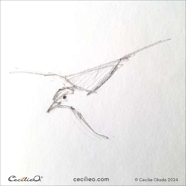 Step 2 to sketch bird in flight.
