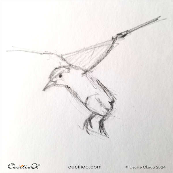 Step 3 to sketch bird in flight.